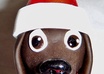 make you a cute dog in a Santa hat Christmas ornament sculpture small2
