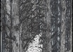 draw an illustration in ink small2