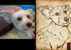 create a Japanese ink style drawing of your pet small2