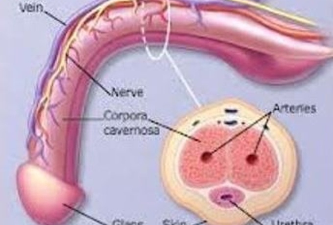 Erectile Dysfunction Specialist In Louisiana