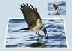make 3D popout / outward bounds effect from your photo small2