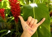 write anything on my hand in a Hawaiian Shaka/Hang Loose pose and send you 5 photos small2