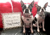 make an adorable Doggie Sign small2