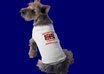 [level Two Seller] photoshoot your logo, motto, website, other professionally with my various dog models small2