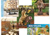 send you 5 beautiful full color catalogs  small2