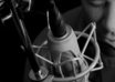 produce a North American Adult Male Voice Over small2