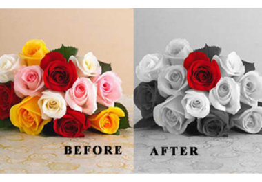 make this cool photo effect from your existing color picture big2