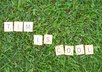 arrange Scrabble tiles to form a message lush, green grass and send you a high res photo small2