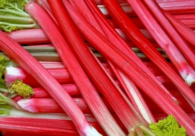 give you my Prize Winning Rhubarb Crunch Recipe big2
