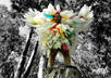 create video testimonial as the plastic bag man small2