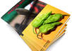 do photoshop work for you small2