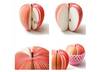 send u an Unique Creative Apple Shaped Memo Pad small2