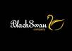 design 3 different professional stylish SIGNATURE logos your business or website small2