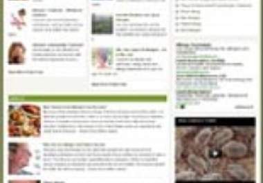 give you a complete website templates package big2