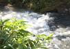 help you with ecotourism in Leyte, Philippines small2