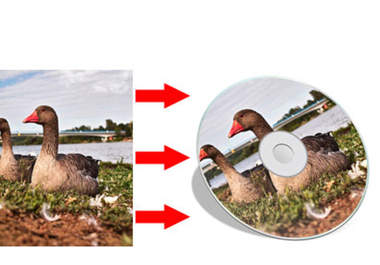 turn A Picture Into A CD Image Graphic big2