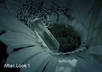 edit your photo small2