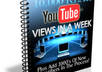 show You How To Get 10,000 REAL YouTube Views In A Week small2