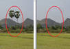 edit 5 PHOTOS in 5 hours small2