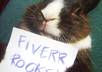have my sweet bunny hold your message small2