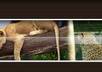 design a professional header for your blog/website small2