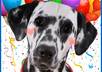 create an animated video starring your pet small2