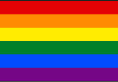 send you a Large Gay Lesbian LGBT Rainbow Flag Jerzees Tee big2