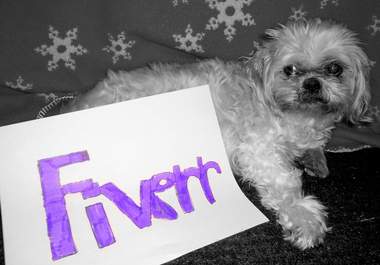 have my dog hold up a piece of paper saying your buisness name big2