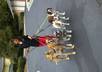 give you solid advice on your dog behavior challeges or training small2