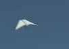 create a digital paper airplane displaying your message with music small2