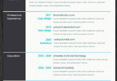 design your professional/non professional resume in a very attractive way big2