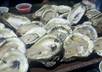 be your personal concierge and answer up to 5 questions about dining, hotels and entertainment in New Orleans small2