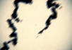 create a trail of splattered ink or blood leading to your text small2