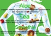make a very creative BROCHURE or flyer small2
