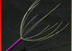 send you this amazing New Head Neck Scalp Massager Massage Tool with FREE shipping Worldwide Only small2