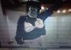 dance in my gorilla costume to any song for 2 minutes small2