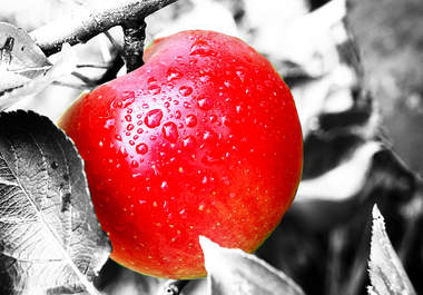colour pop up to three photos big2