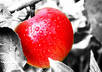 colour pop up to three photos small2