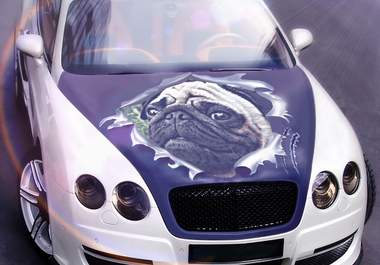 photoshop 2 of your pictures onto the hood of a white Bentley big2