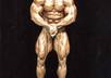 put your face on body builder with great muscle small2