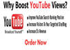 provide you 1500 plus FAST Youtube Video Views small2