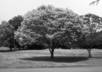 change 4 of your photos to black and white small2