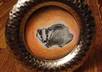 draw you an adorable tiny animal illustration small2