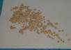 send you or a loved one an envelope containing 500 tiny hearts punched from vintage book pages small2