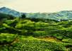 make amazing art from your picture small2