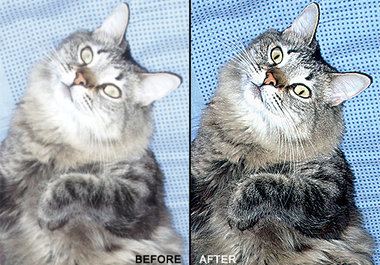 professionally edit and fix your picture big2