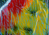 send to you an original hand painted art trading card ACEO is painted by artist Ryan ONeill Awesome miniature art small2
