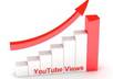 give you 2500 REAL Youtube views plus 100+ likes on your video small2