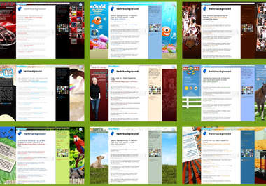 design a Twitter Background for your business or personal profile big2