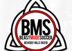create a new or redesign a soccer logo small2